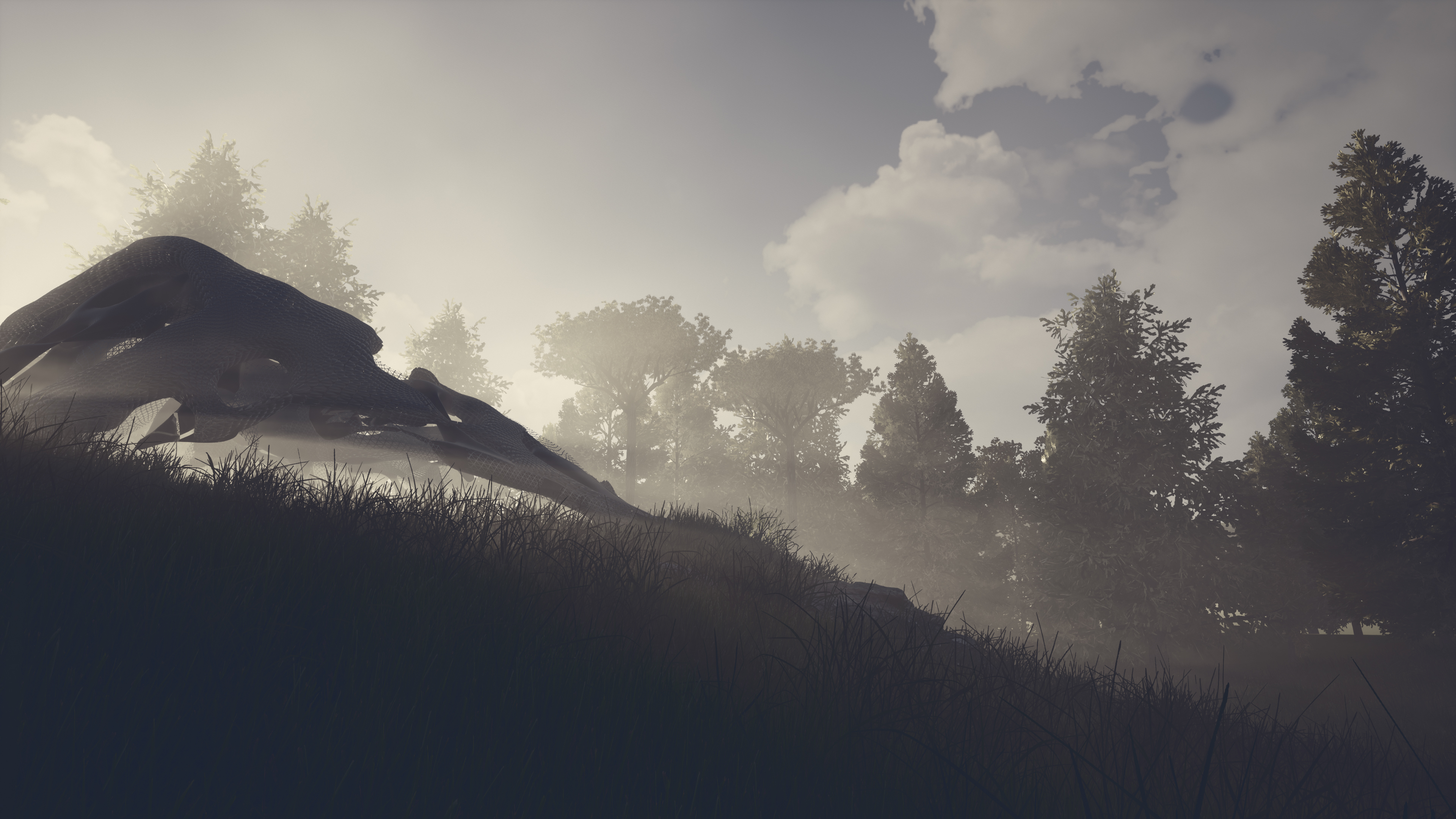 BioInspired Canopy: an undulating structure in a misty wooded landscape
